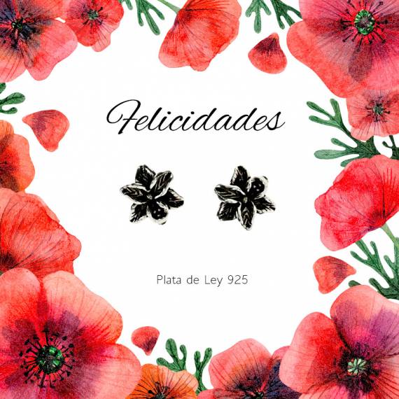 Pendientes flor jazmín Plata de Ley