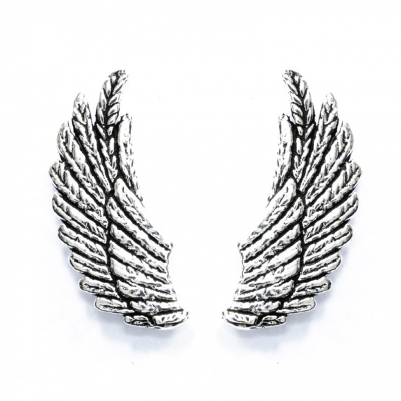 Pendientes alas de ángel Plata de Ley 2