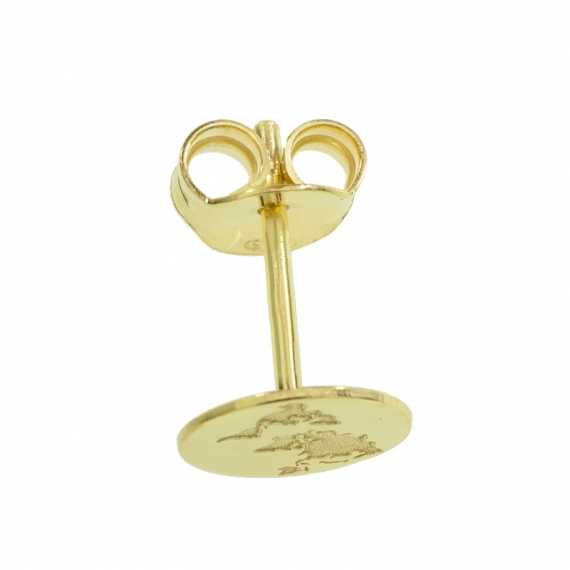Pendientes mundo dorado Plata de Ley 2