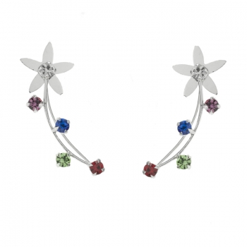 Climbers flor Plata de Ley