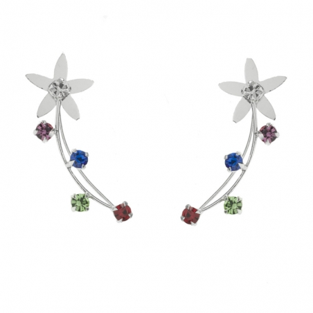 Climbers flor Plata de Ley