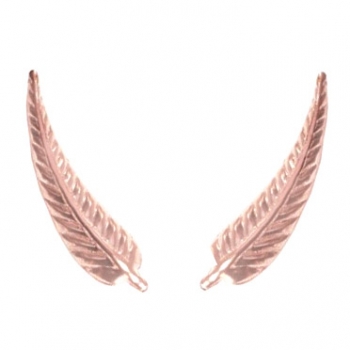 Climbers hoja rossé