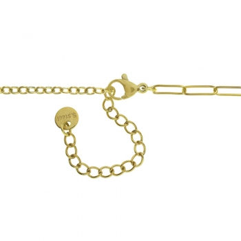 Collar cadena con pluma dorada acero 2