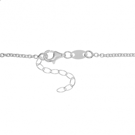 Collar con placa curva personalizable