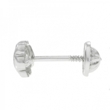 Pendientes flor Plata de Ley